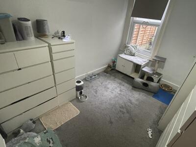 Picture 8